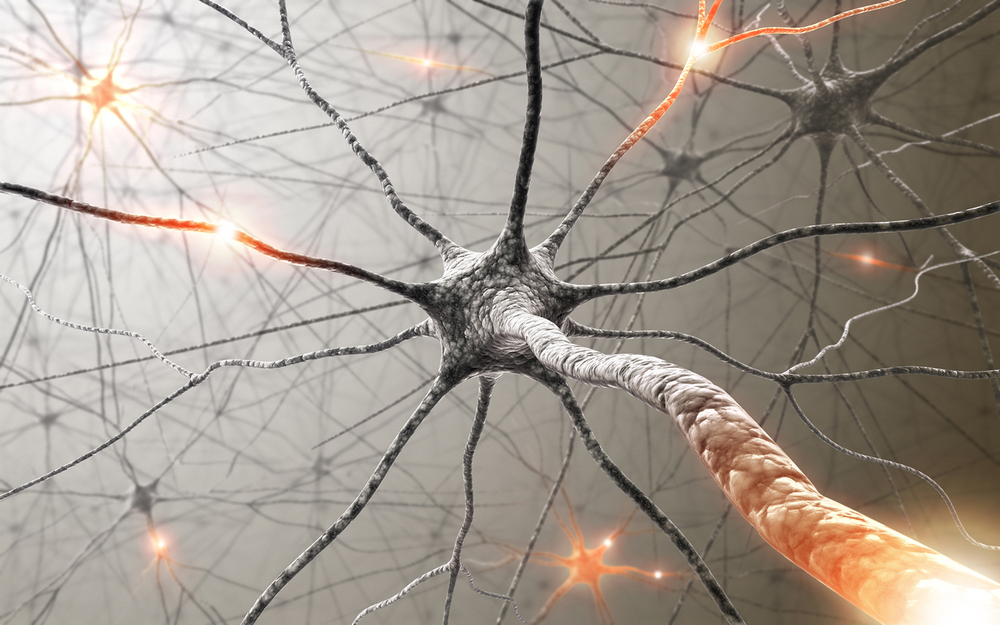 Multiple sclerosis victims may suffer from various health conditions up to five years before the disease is diagnosed, according to new research. u00e2u20acu201d ktsimage/Istock.com pic via AFP