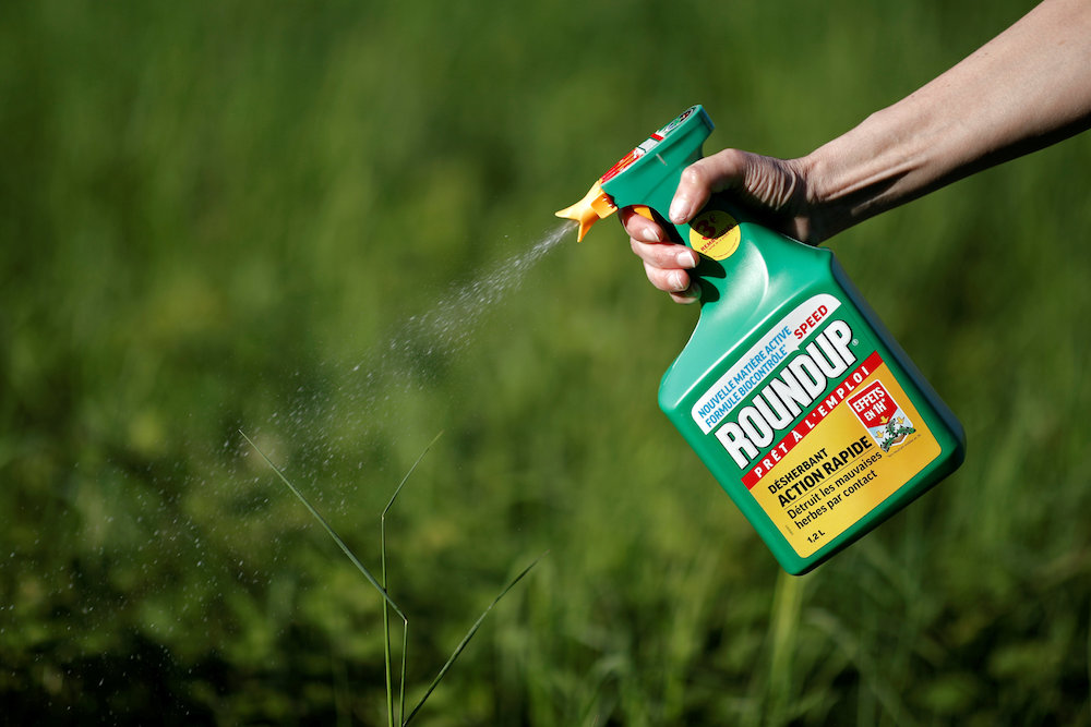 A woman uses a Monsantou00e2u20acu2122s Roundup weedkiller spray without glyphosate in a garden in Ercuis near Paris May 6, 2018. u00e2u20acu201d Reuters pic