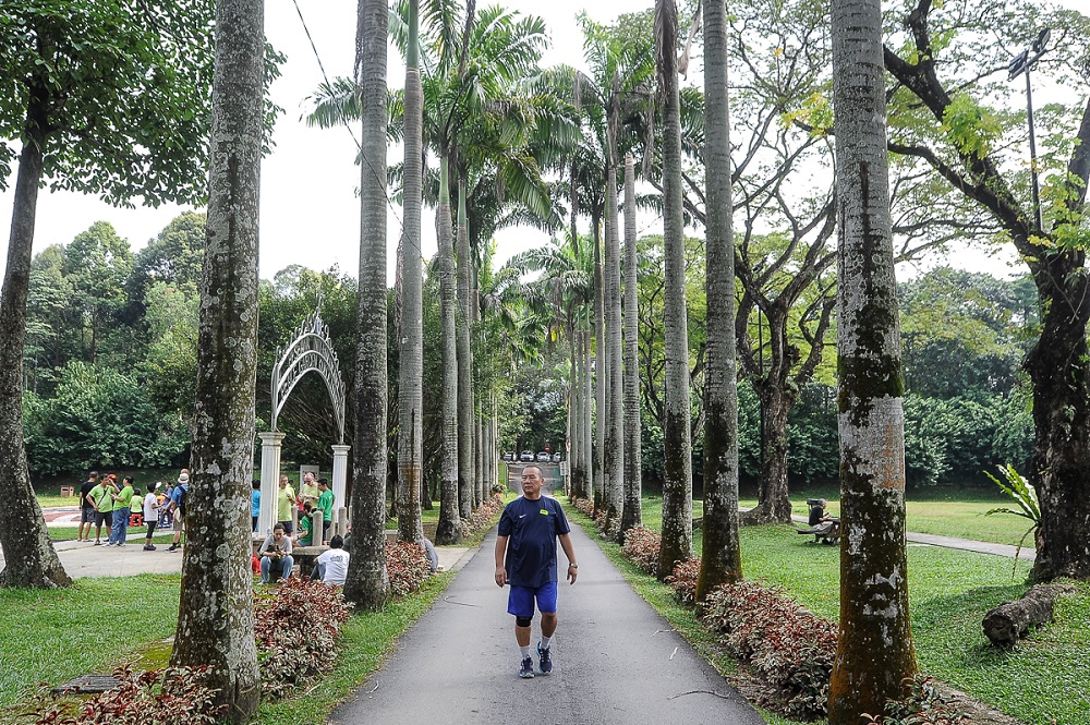 A view of Taman Rimba Kiara in Taman Tun Dr Ismail, Kuala Lumpur August 4, 2018. — Picture by Shafwan Zaidon