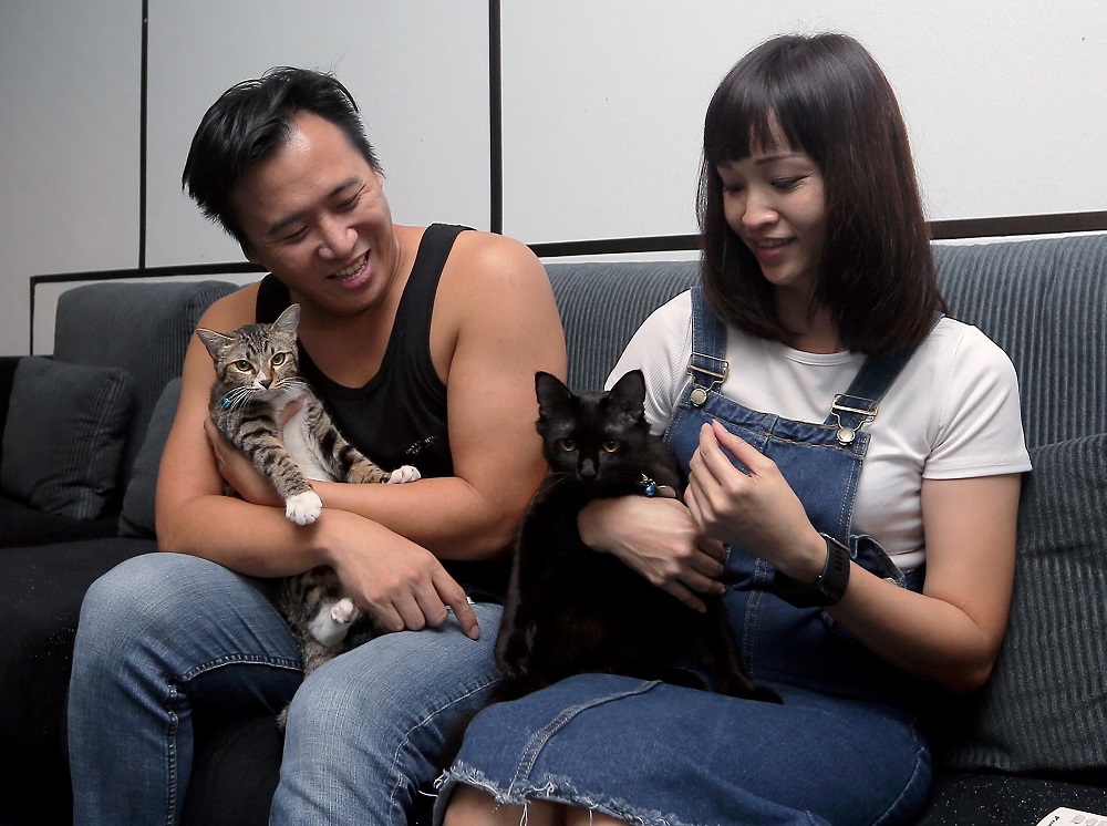 Marcus Love Chiang and his wife Esther Liew Sook Ching cuddling their cats at their guest house EDM Space in Ipoh. 