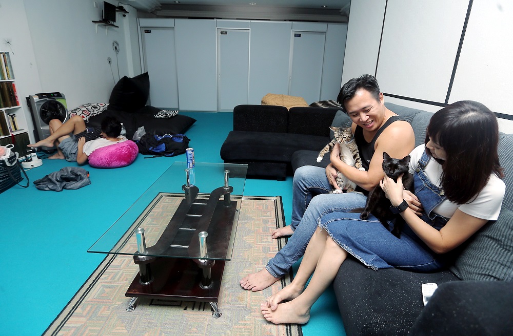 Marcus Love Chiang says that pets are welcomed in the guest house.