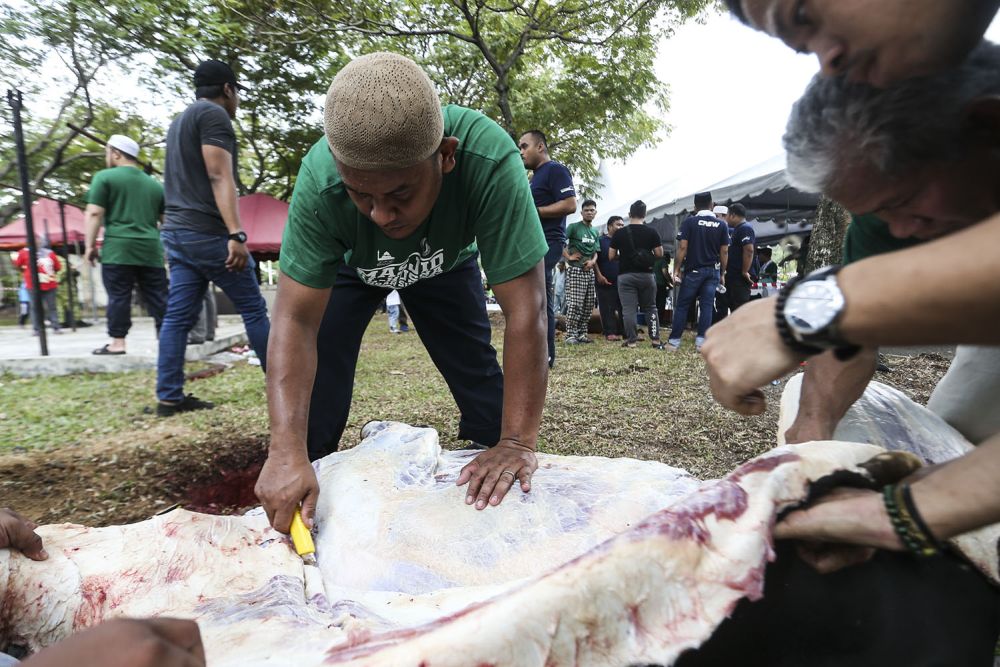 A man slaughters a cow in conjunction with the Aidiladha celebrations at the Al-Husna mosque in Bandar Sunway, August 22, 2018. ― Picture by Hari Anggara