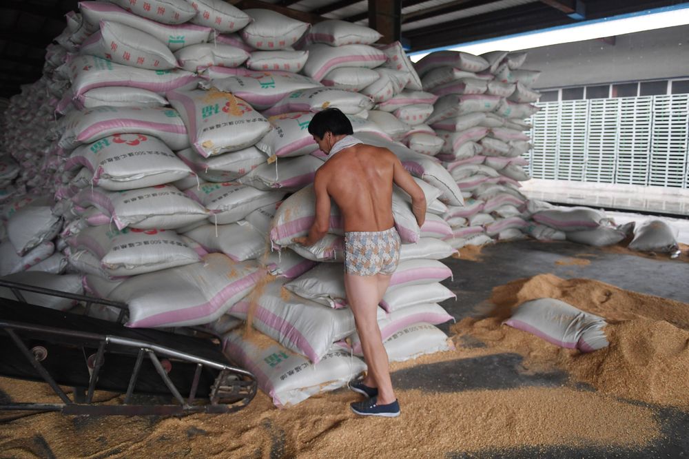 A worker loading sacks of animal feed made from soybeans at the Hopefull Grain and Oil Group in Sanhe, in China's northern Hebei province, July 19, 2018. The company is currently using soybeans imported from Brazil, instead of US soybeans. u00e2u20acu201d AFP pic
