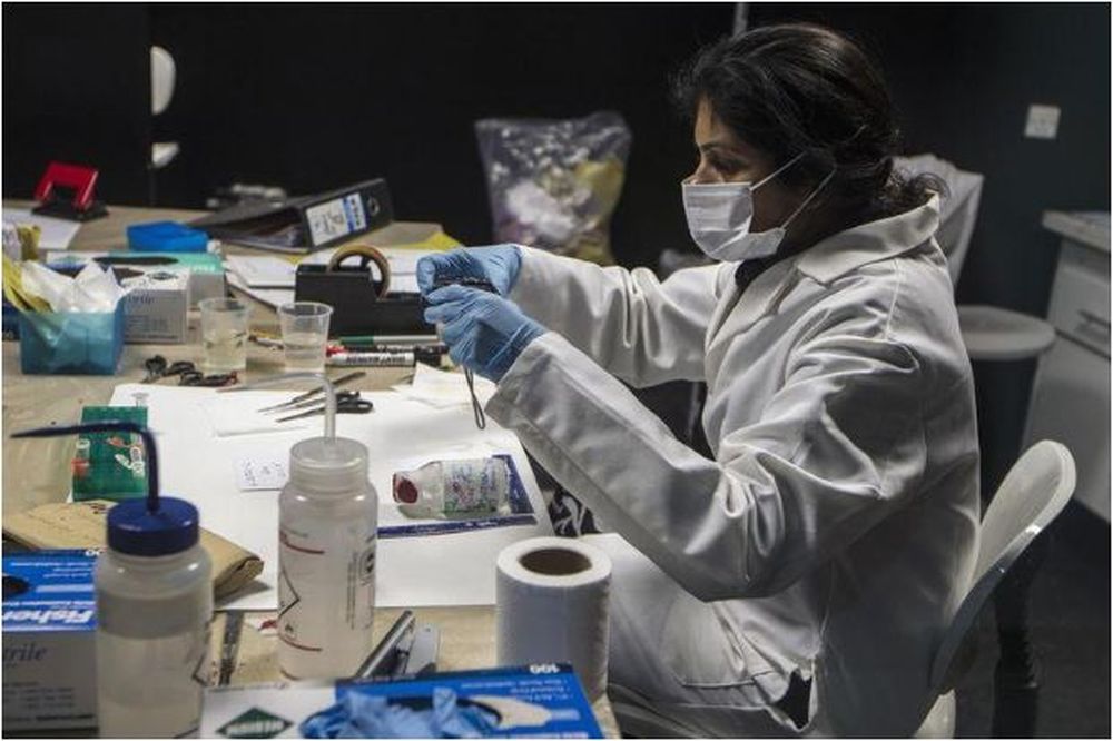 A forensic scientist analyses samples in the DNA and Serology department at Punjab Forensic Science Agency in Lahore January 13, 2015. u00e2u20acu201d Reuters pic