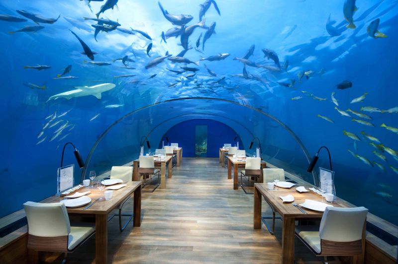 The Ithaa Undersea Restaurant at the Conrad Maldives Rangali Island Resort in the Maldives.