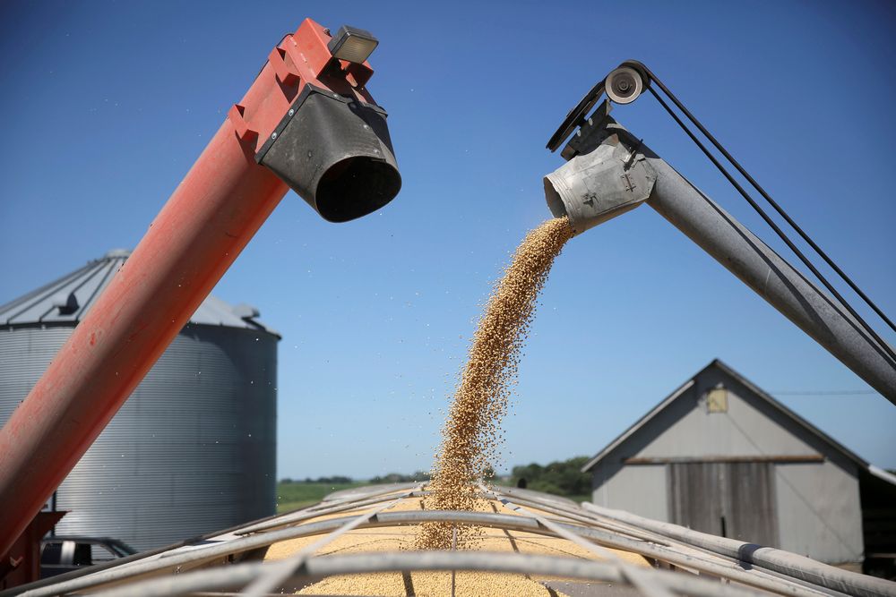 A trailer is filled with soybeans at a farm in Buda, Illinois, July 6, 2018. u00e2u20acu201d Reuters pic
