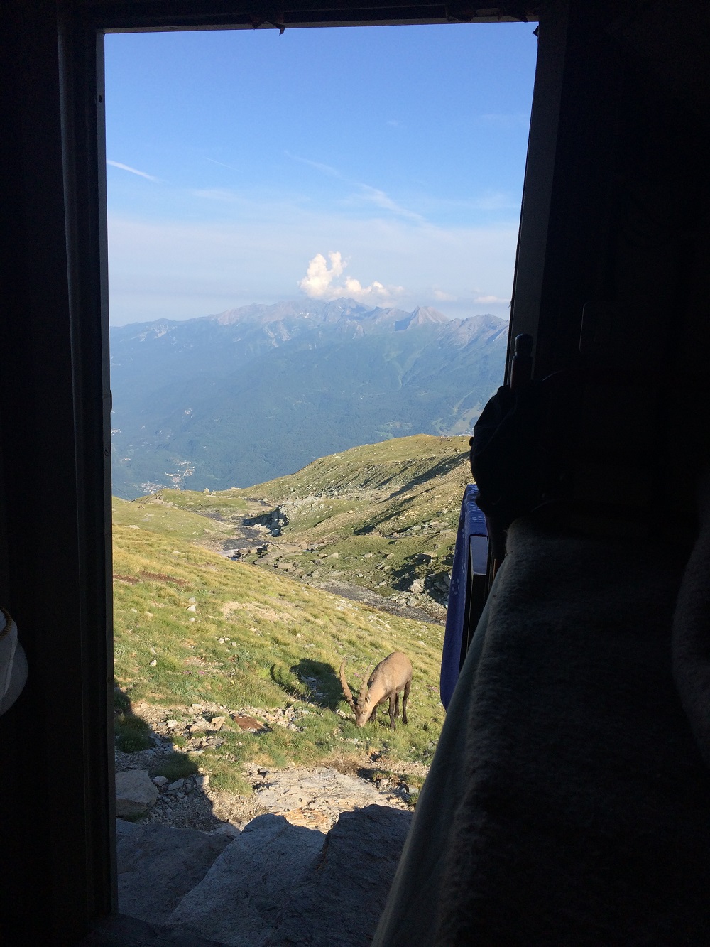 Being visited by a curious Alpine Ibex (a type of wild mountain goat) with sharp horns and woolly brown coat, while chilling in our cabin.