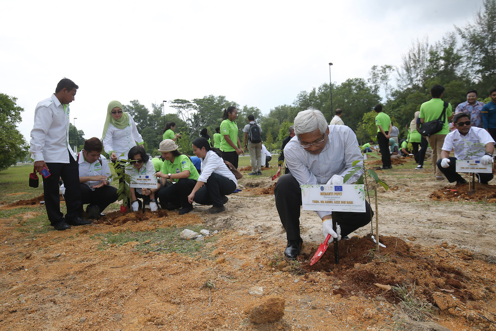 State Education, Technology, Science and Environment Committee chairman Abdul Aziz Bari plants a tree during Climate Diplomacy Day in Ipoh September 28, 2018. — Picture by Marcus Pheong