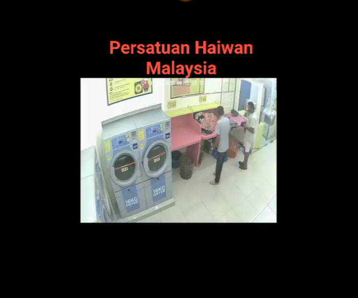 A surveillance camera captured footage of the two men who picked up the feline around 12.30am yesterday and placed it in the dryer. u00e2u20acu201d Facebook screengrab