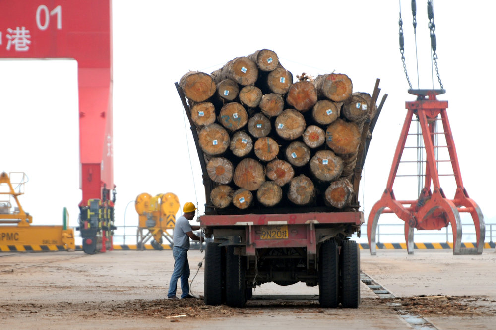 A man works on unloading imported timber from a truck inside a timber processing industrial park in Jiujiang, Jiangxi province, China September 16, 2018. u00e2u20acu201d Reuters pic