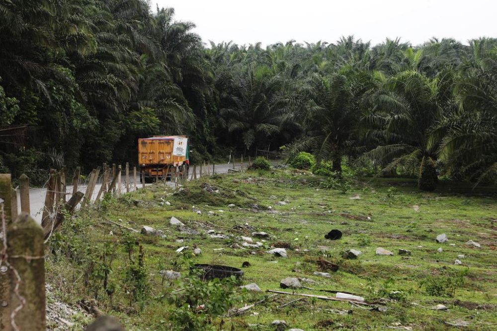 A truck travels along an empty field, the site for the proposed HSR station for Seremban in Labu, a quiet hamlet peppered with Malay villages and palm oil plantations. u00e2u20acu201d TODAY pic