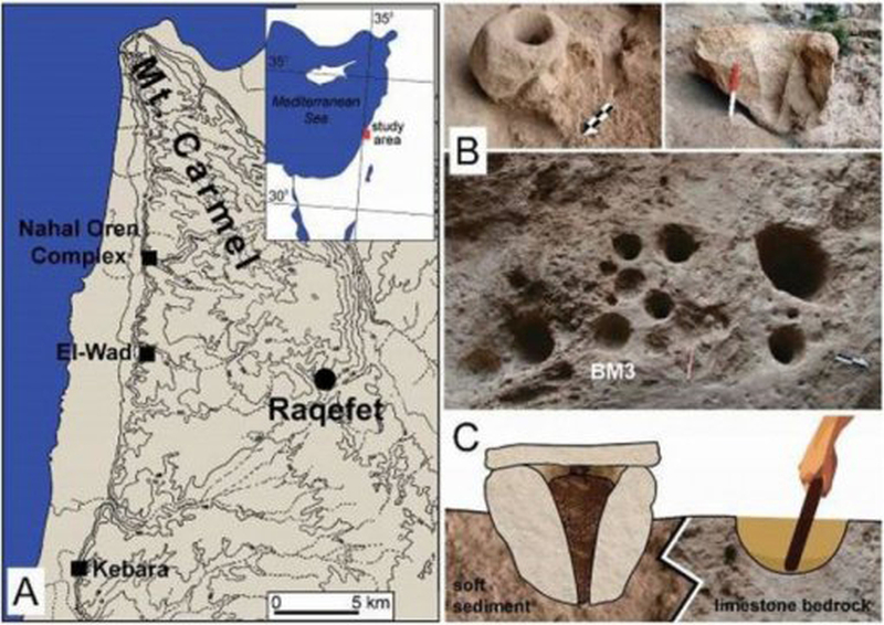 Evidence suggests that stone mortars from Raqefet Cave, Israel, were used in brewing a cereal-based beer. u00e2u20acu201d Courtesy of Elsevier, Journal of Archaeological Science: Reports