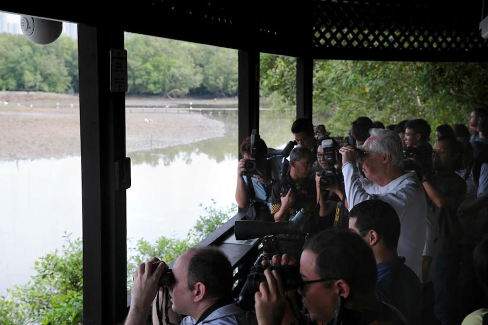 ESM Goh Chok Tong (centre, in white) uses binoculars to observe wildlife at Sungei Buloh Wetland Reserve, October 7, 2018. u00e2u20acu201d TODAY pic