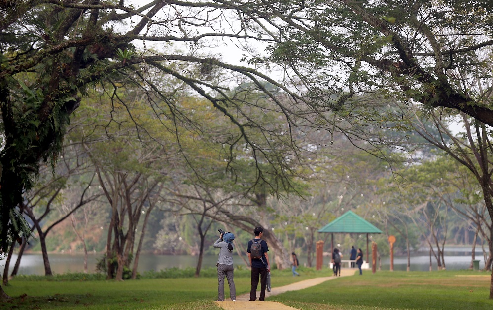 Visitors admiring the birds at the Kinta Nature Park in Batu Gajah. 