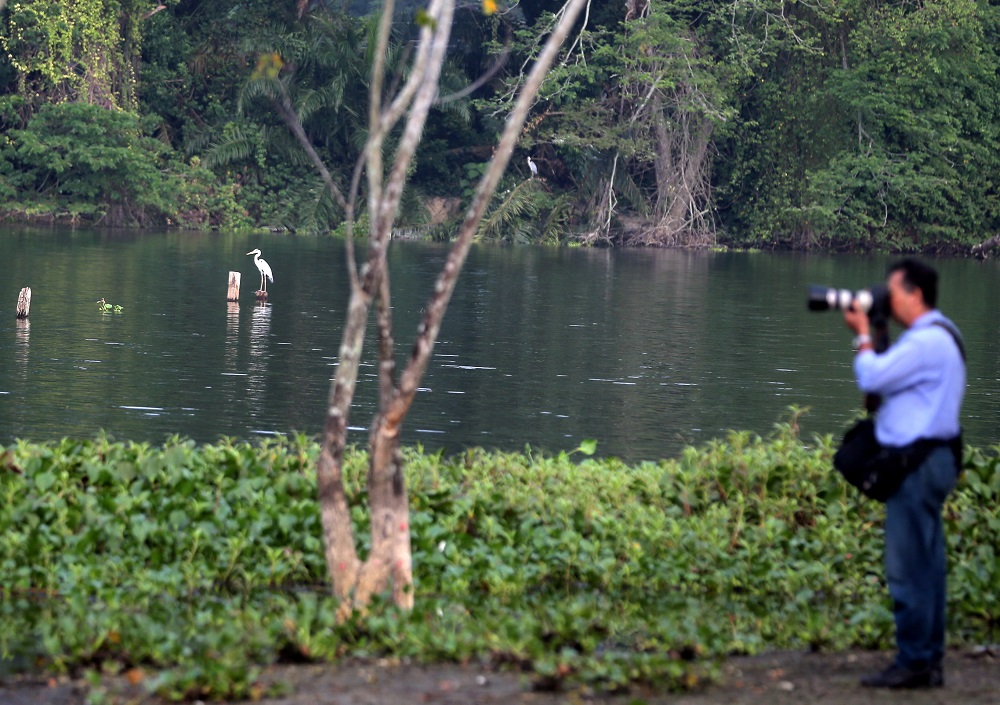A visitor takes pictures of some birds at the Kinta Nature Park in Batu Gajah. u00e2u20acu201d Picture by Farhan Najib