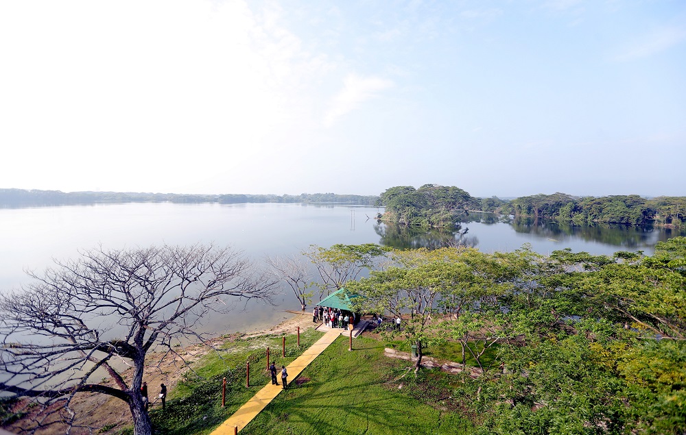 The Kinta Nature Park has several ponds and is believed to be one of the largest heronries in Malaysia. u00e2u20acu201d Pictures by Farhan Najib