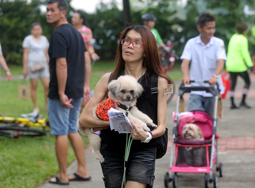 A participant and her dog at the Pet Pirate Treasure Hunt in Ipoh.
