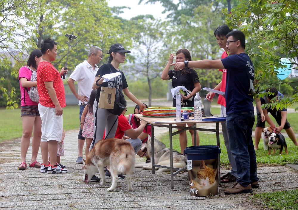 Some of the participants and their dogs at one of the checkpoints in the Pet Pirate Treasure Hunt in Ipoh. 