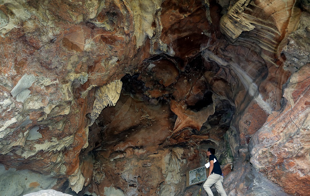 Tan said the state would form a technical committee under the Geopark advisory council to determine the identity of the fossil and the long-term future of the site.