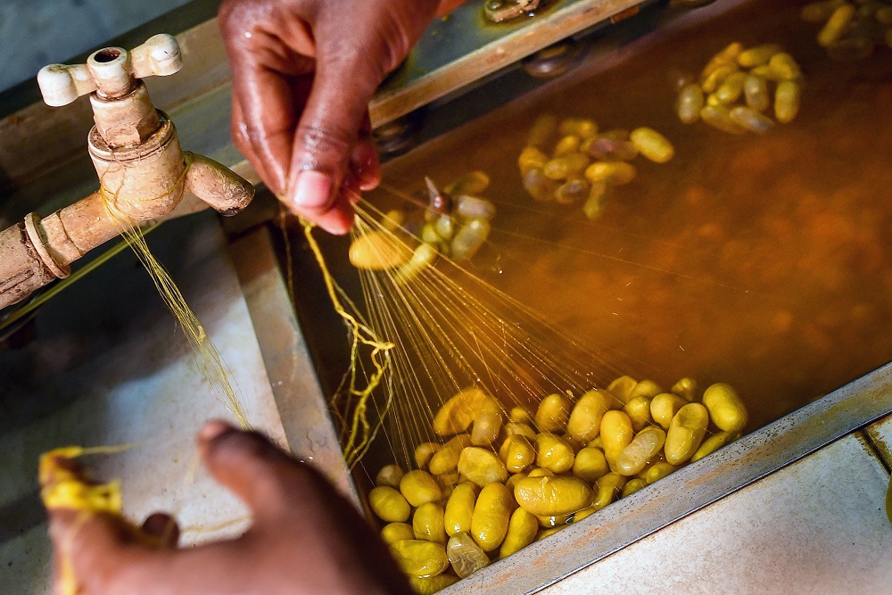 This photograph taken on September 5, 2018, shows a Bangladeshi worker pulling threads from boiled silk worm cocoons in a silk factory in Rajshahi. u00e2u20acu201d AFP pic  