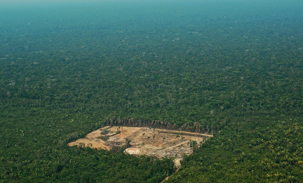 This file photo taken on September 22, 2017, shows an aerial view of deforestation in the Western Amazon region of Brazil. u00e2u20acu201d AFP pic 