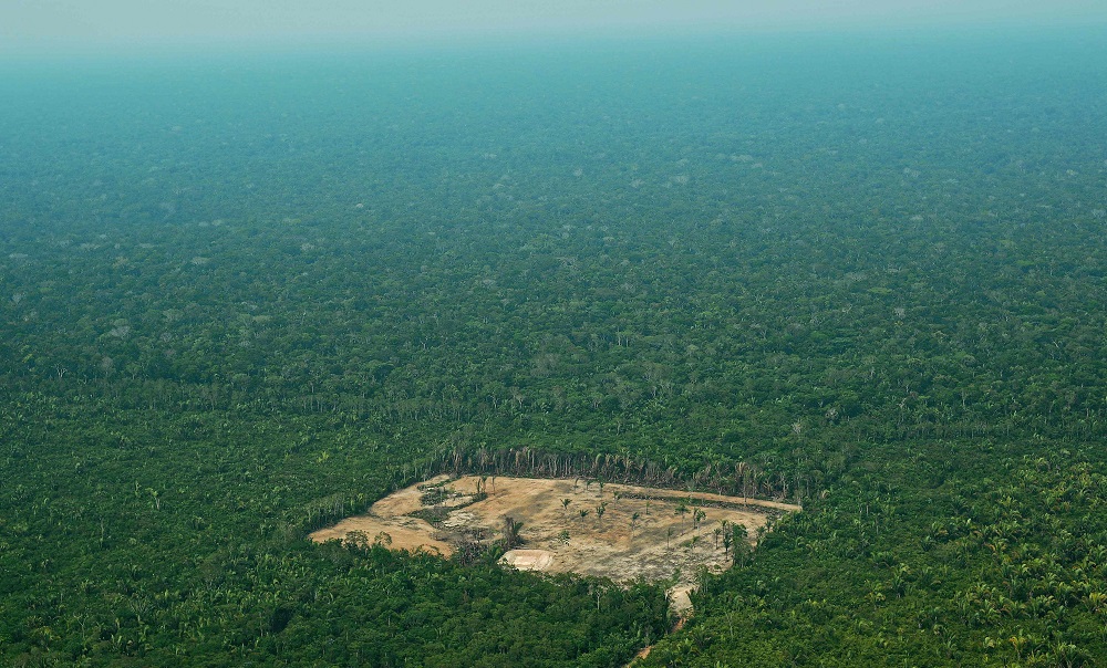 A file photo taken on September 22, 2017, shows an aerial view of deforestation in the Western Amazon region of Brazil. u00e2u20acu201d AFP pic 