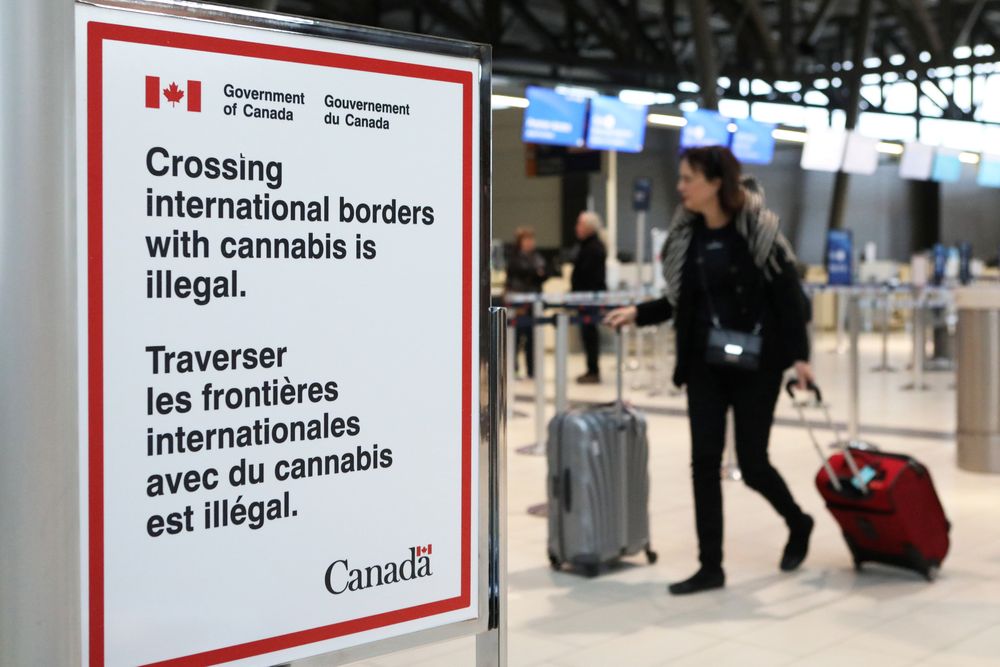 A sign warning travellers about crossing international borders with cannabis is seen at the Ottawa International Airport in Ottawa, Canada, October 15, 2018. u00e2u20acu201d Reuters pic