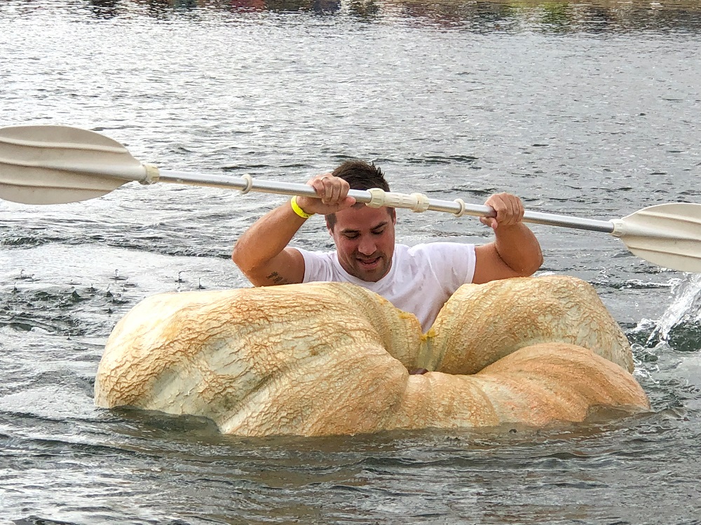 A man paddles his giant pumpkin boat during the traditional pumpkin race in Lohmar, Germany October 3, 2018. u00e2u20acu201d Reuters pic