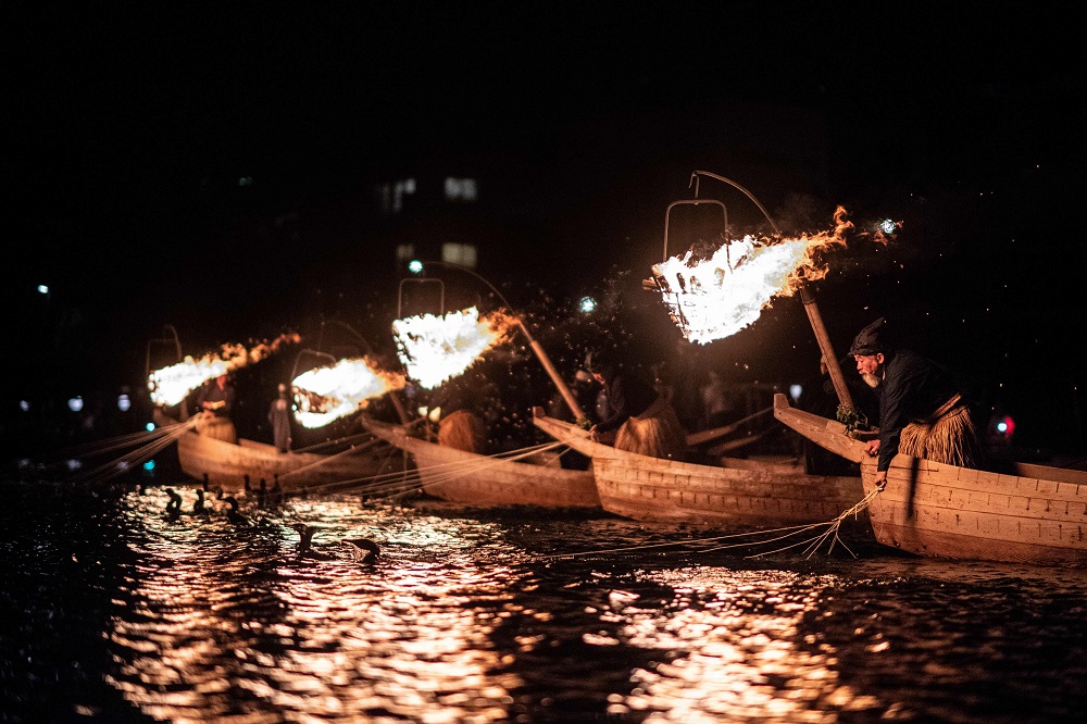 In this photo taken on October 11, 2018, cormorant masters use their birds to catch sweetfish in Gifu. — AFP pic