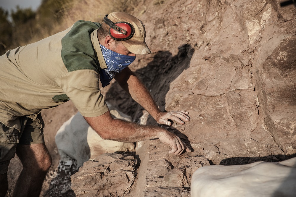 Johannesburg Witwatersrand Universityu00e2u20acu2122s professor Jonah Choiniere looks for fossils in the rock formations at the Heelbo farm on the outskirts of Rosendal, South Africa October 10, 2018. u00e2u20acu201d AFP pic