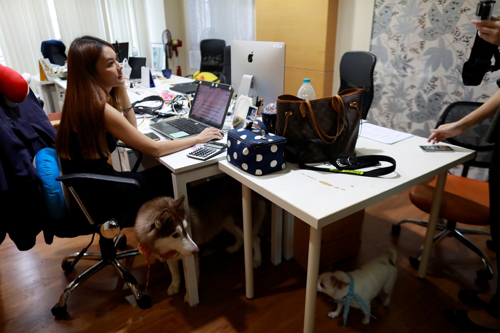 Dogs are seen near a desk in an office of a digital advertising agency which promotes bring-your-dog-to-work in Bangkok September 27, 2018. u00e2u20acu201d Reuters pic