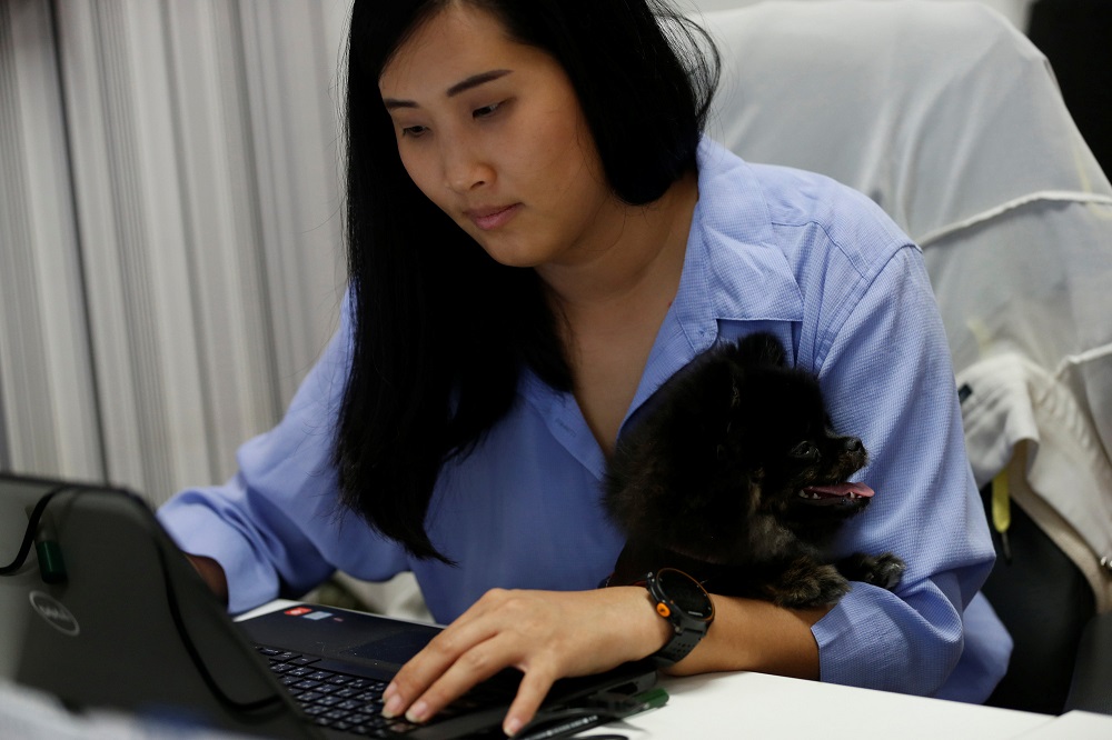 Cherry holds a dog as she works in an office of a digital advertising agency which promotes bring-your-dog-to-work in Bangkok September 27, 2018. — Reuters pic