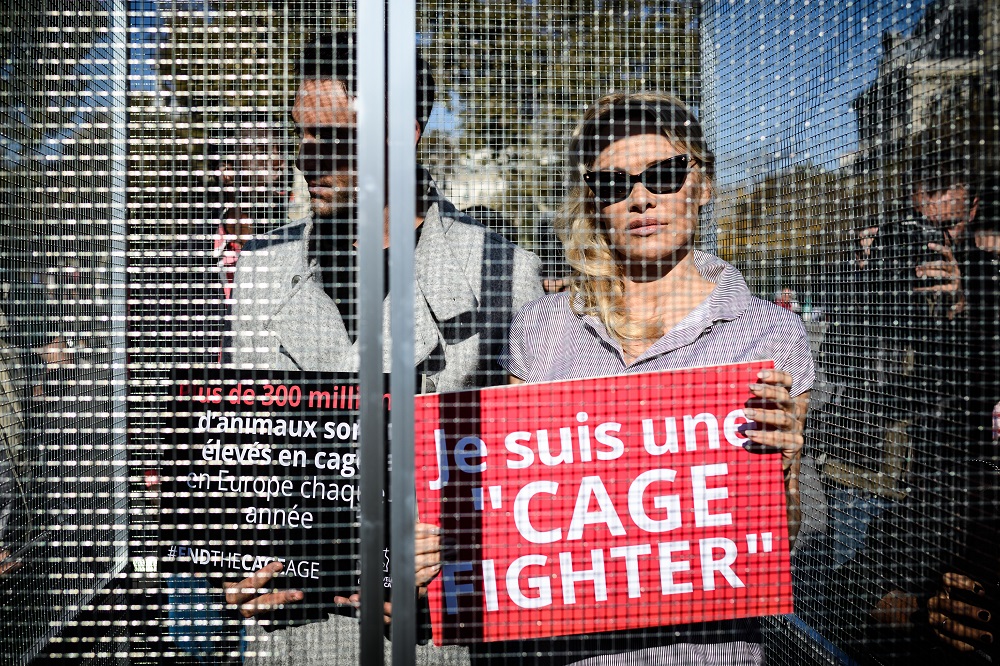 Actress Pamela Anderson (right) and her dancing partner Maxime Dereymez stand in a cage displaying placards against the caging of animals during an event organized by the NGO Compassion in World Farming in Paris on October 10, 2018. u00e2u20acu201d AFP pic