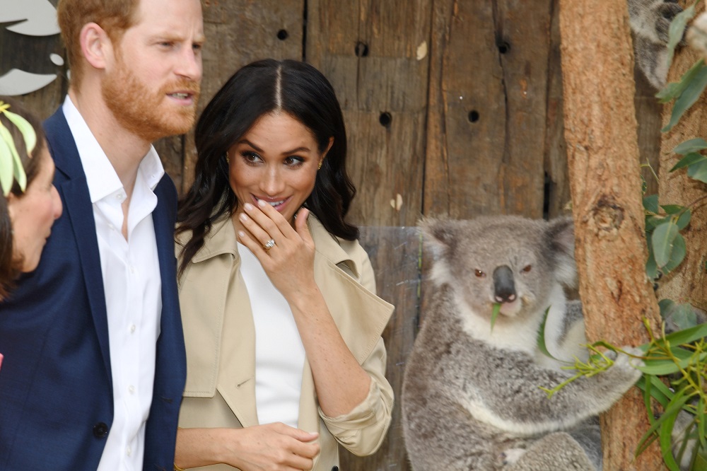 Britain's Prince Harry and Meghan are seen meeting Ruby, a mother Koala who gave birth to koala joey Meghan during a visit to Taronga Zoo in Sydney, Australia, October 16, 2018. u00e2u20acu201d Reuters pic