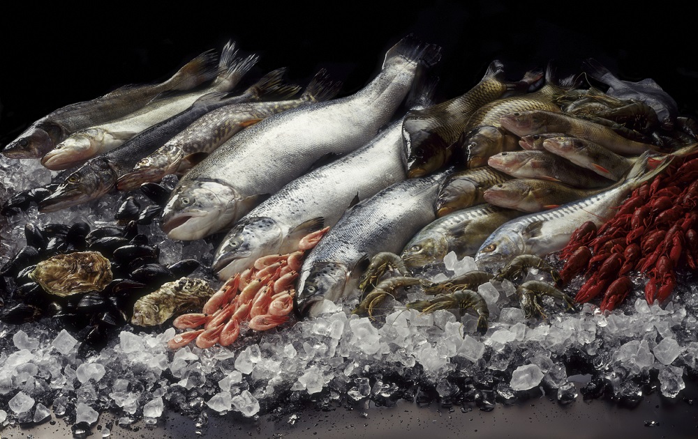 Where and when did the practice of fish farming first occur? u00e2u20acu201d AFP pic