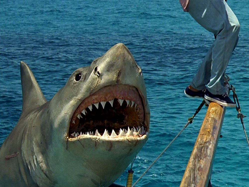 A YouTube screenshot of the 1987 movie ‘Jaws: The Revenge’.