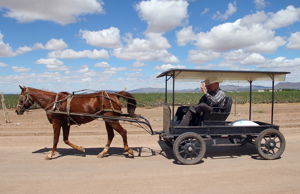A Mennonite man rides a horse-drawn cart at the Sabinal community, in Ascencion municipality, Chihuahua State, Mexico September 22, 2018. u00e2u20acu201d AFP pic