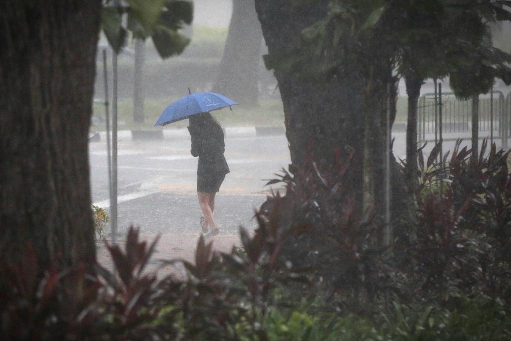 Singapore will see thundery showers on six to eight days in the first two weeks of this month, mostly in the afternoon, said the Meteorological Service Singapore. u00e2u20acu201d TODAY pic