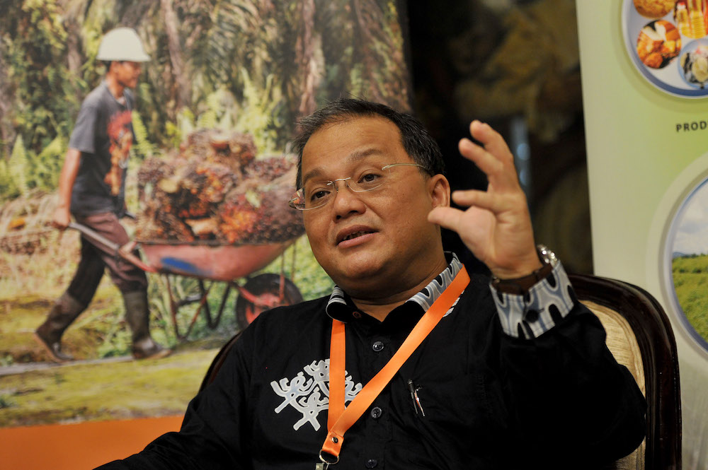 RSPO CEO Datuk Darrel Webber speaks to reporters during a press conference in Subang Jaya April 25, 2017. u00e2u20acu201d Picture by Mukhriz Hazim