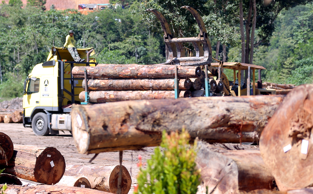 The logging activity taking place at Pos Kuala Mu. The Orang Asli who lives in the area claims logging destroy their livelihood. u00e2u20acu201d Picture by Farhan Najib