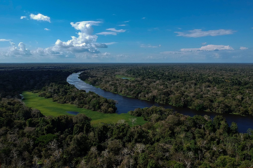 In this file photo taken on June 28, 2018, the Jaraua river flows through the Miramar Sustainable Development Reserve in Amazonas State, Brazil. u00e2u20acu201d AFP pic      