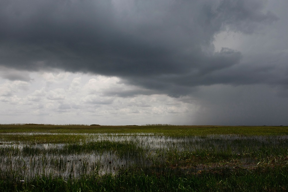 In this file photo taken on May 28, 2009, rain clouds hover over the Everglades, Florida. u00e2u20acu201d AFP pic  