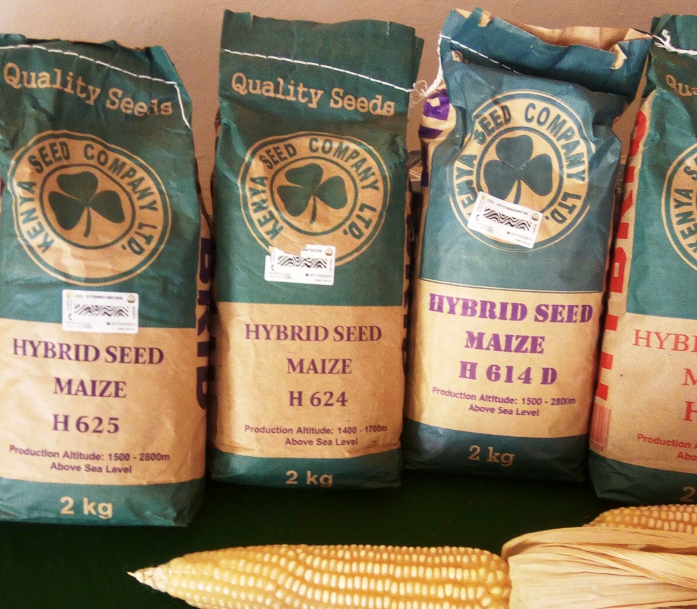 A view of bags of certified maize seed on display at the Nairobi International Trade Fair Show in Kenya, October 6, 2018. u00e2u20acu201d Thomson Reuters Foundation pic