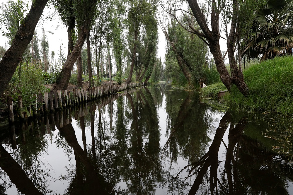 A chinampa or floating garden is pictured in Xochimilco on the outskirts of Mexico City, Mexico May 8, 2018. — Reuters pic     