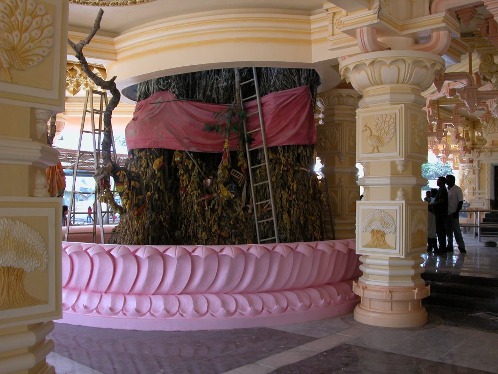 The preserved tree trunk at the Marathandavar temple.