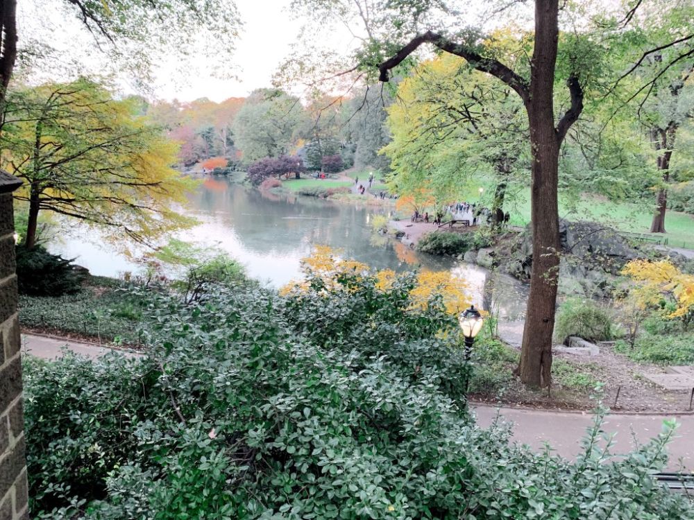 A huge tract of land in the middle of prime real estate would be condos in our country. Even if it was Central Park.
