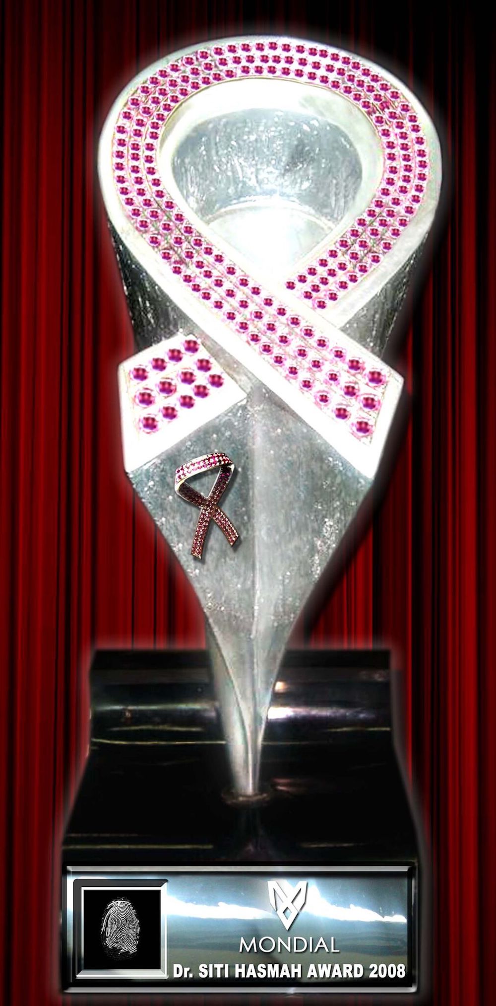 The 2008 trophy. — Picture courtesy of MAF