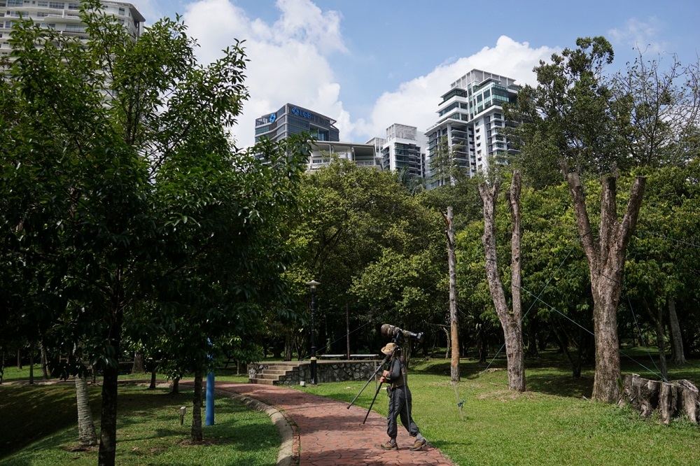 A general view of Rimba Kiara Park in Kuala Lumpur December 6, 2018. u00e2u20acu201d Picture by Ahmad Zamzahuri