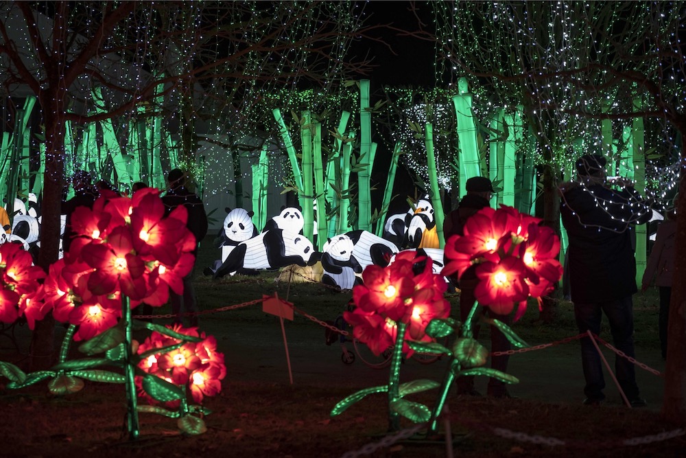 Visitors look at a giant lantern scene installed in the Foucaud Park in Gaillac, southwestern France, marking the Lantern Festival, on January 8, 2018. — AFP pic