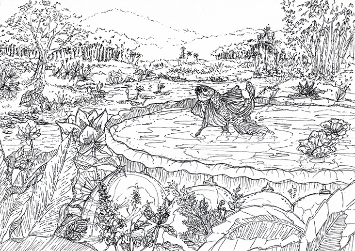 'Magical Goldfish' by Shimo Manaf